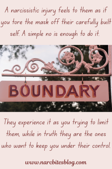 A quote about why narcissists can’t stand being told no.


