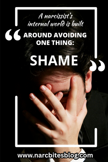 The narcissist will do anything to avoid shame, which is why they project.

