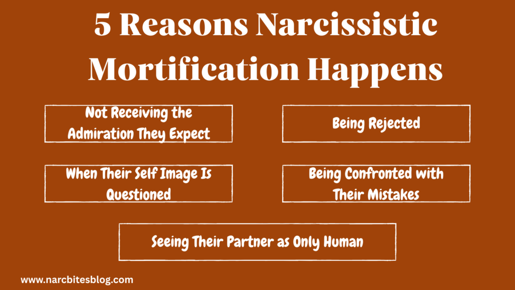 5 reasons Narcissistic Mortiication Happens list