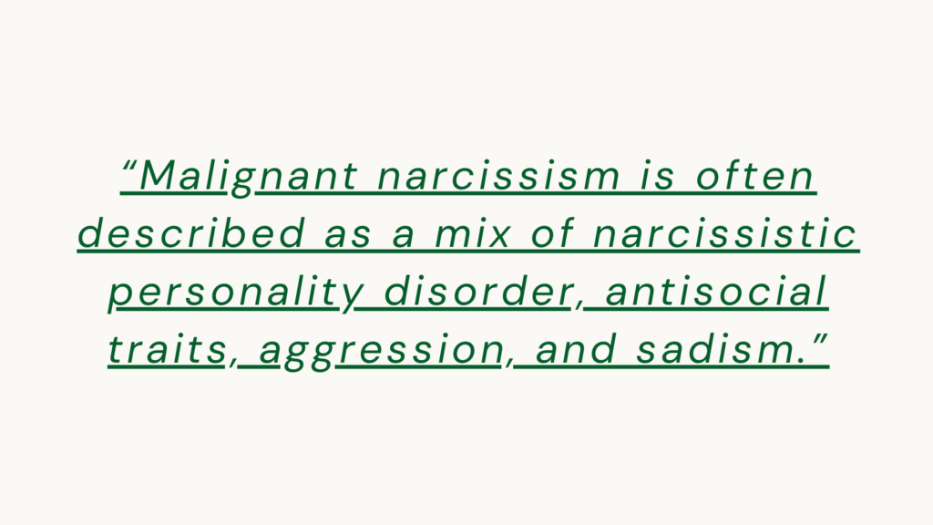 Malignant narcissism is often described as a mix of narcissistic personality disorder, antisocial traits, aggression, and sadism.