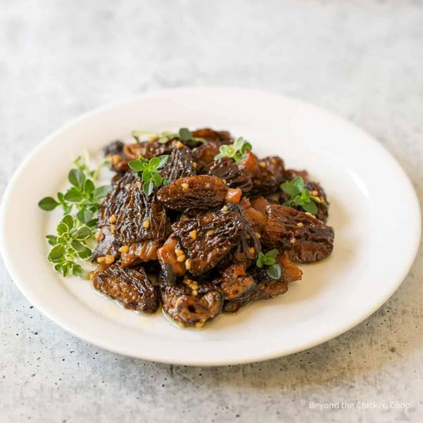 Sautéed Morel Mushrooms with White Wine