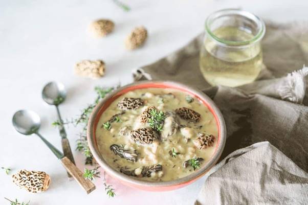 Creamy Morel Mushroom Barley Soup